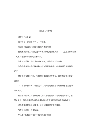 团支书工作计划