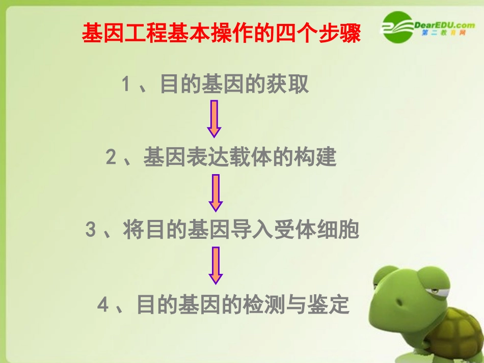 高中生物-1.2基因工程的基本操作程序课件-新人教版选修3_第2页