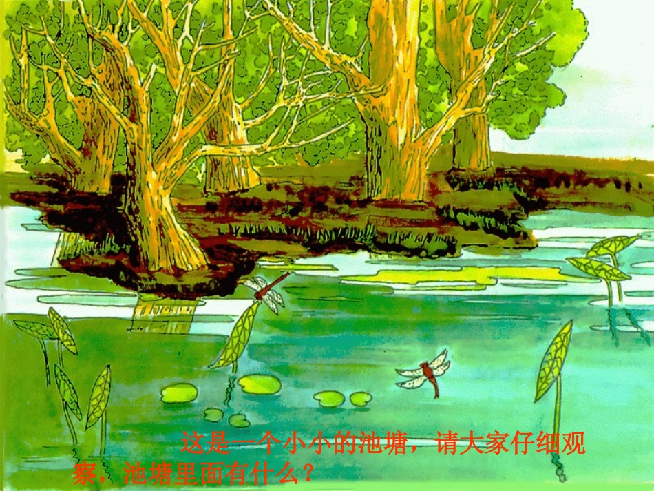 1278《小池》课件.PPT_第1页