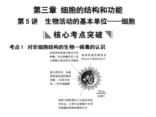 【创新设计】2011届高考生物一轮复习-第3章-第5讲-生物活动的基本单位——细胞课件-苏教版必修1-
