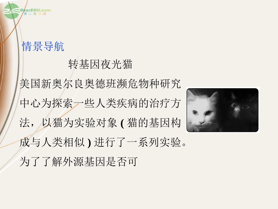 【优化方案】2013高中生物-专题1-1.1-DNA重组技术的基本工具课件-苏教版选修3_第3页