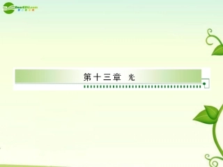 2011届高考物理-单元总复习课件第1单元--光的折射、全反射--光的波动性课件-新人教版