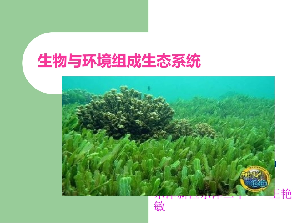 生物说课《生物与环境组成生态系统》东津二中王艳敏_第1页