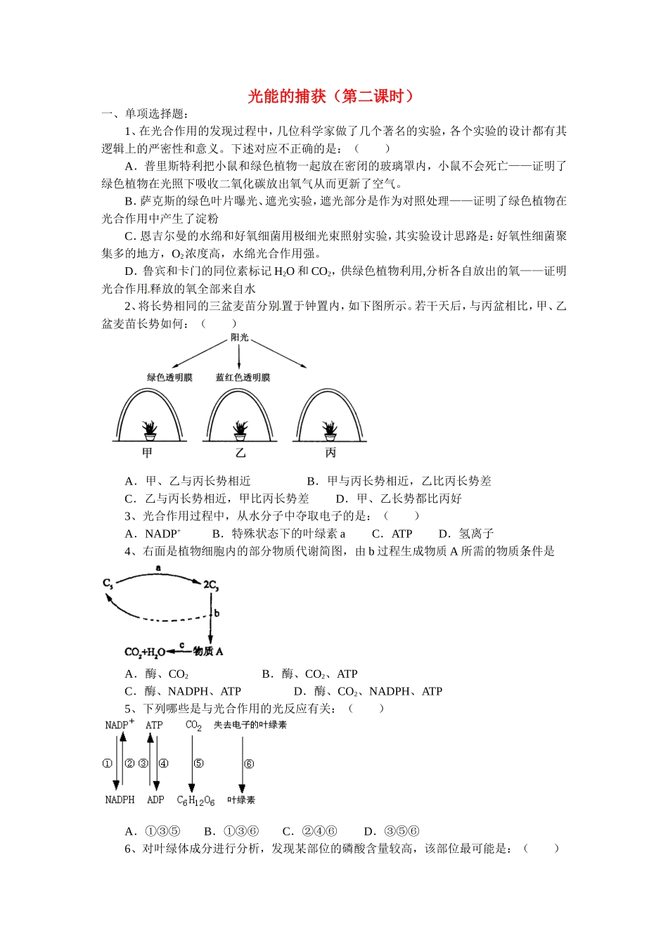 高中生物：试题：光能的捕获单元测试中图版必修1_第1页