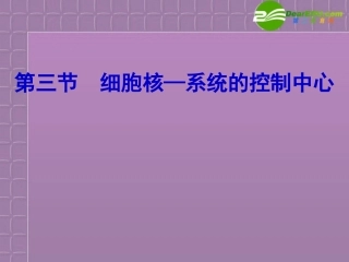 高中生物-3.3《细胞核—系统的控制中心》课件-新人教版必修1