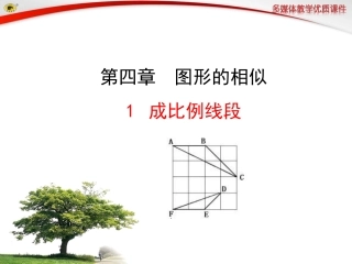 最新北师大版九年级上课件-成比例线段