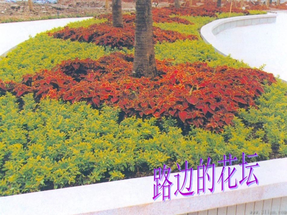 钟蕾求四边形的面积_第2页