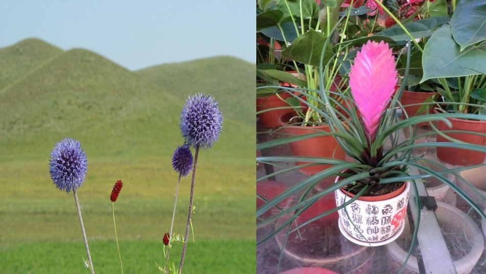 生物与环境构成生态系统-(2)_第2页