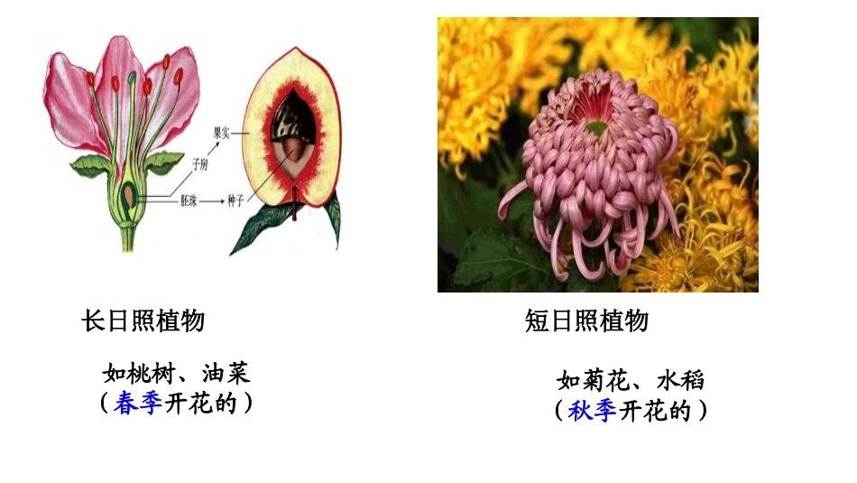 生物与环境构成生态系统-(2)_第3页