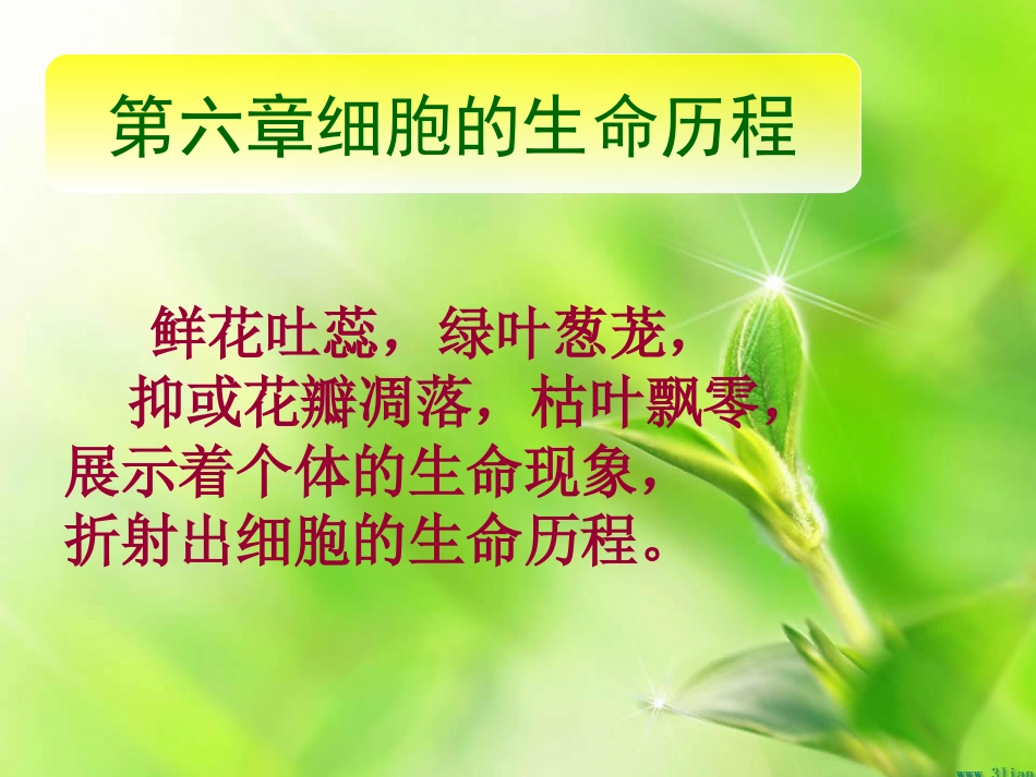 第一节细胞的增殖-(3)_第1页