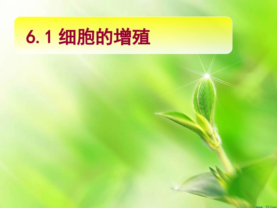 第一节细胞的增殖-(3)_第3页