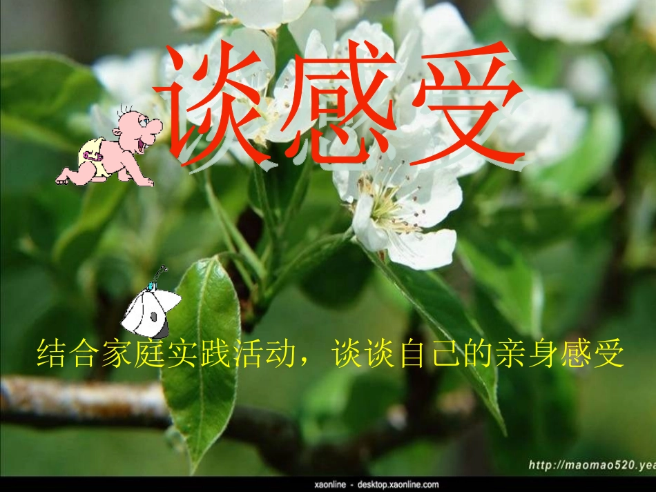 九年级语文《综合性学习——献给母亲的歌》课件人教版_第3页