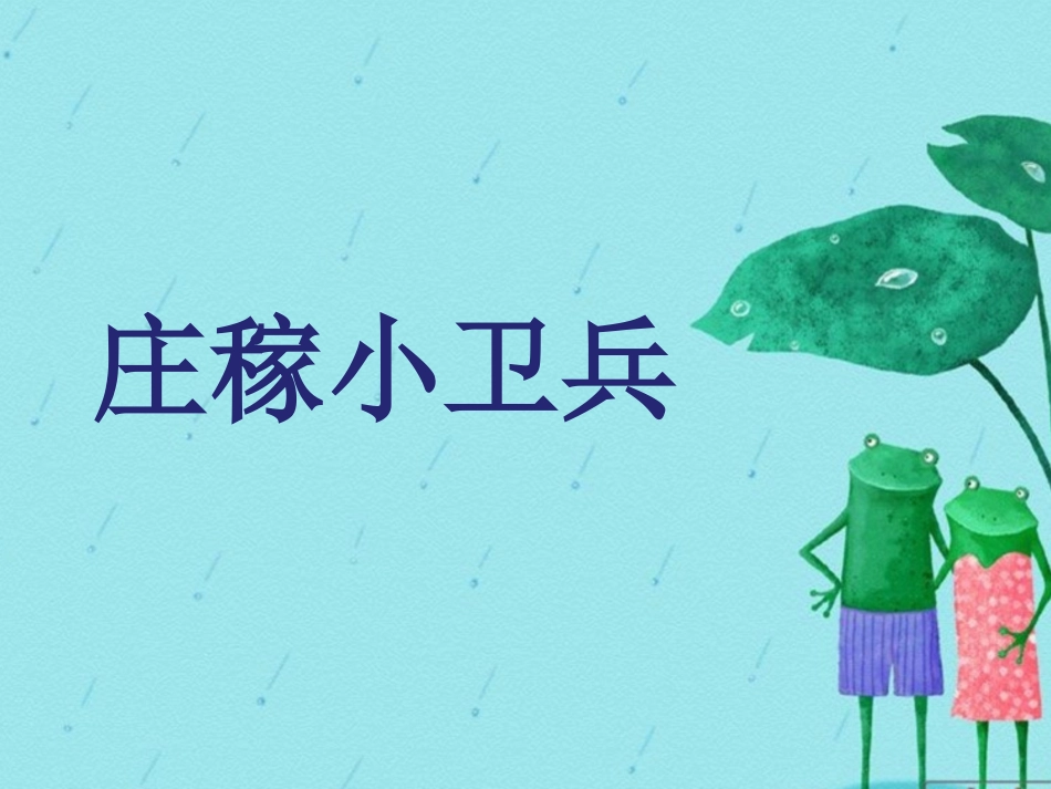 (2017年春季版)《庄稼小卫兵》课件2_第1页