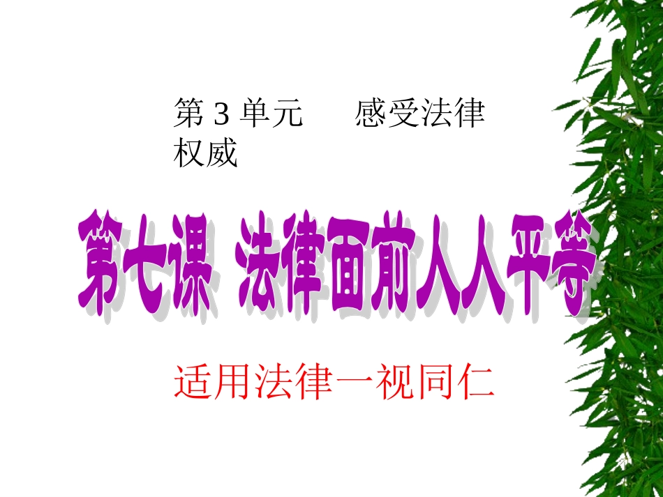 《法律面前人人平等》课件3_第1页