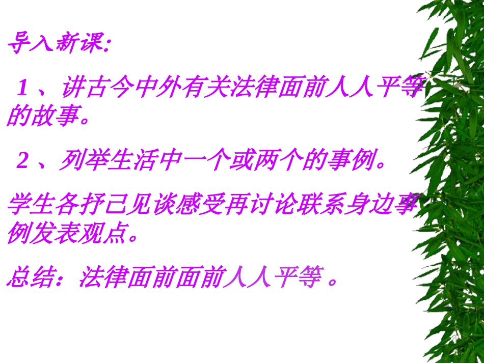《法律面前人人平等》课件3_第3页