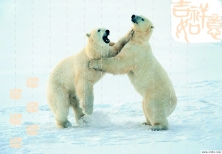 7.5北极地区和南极地区