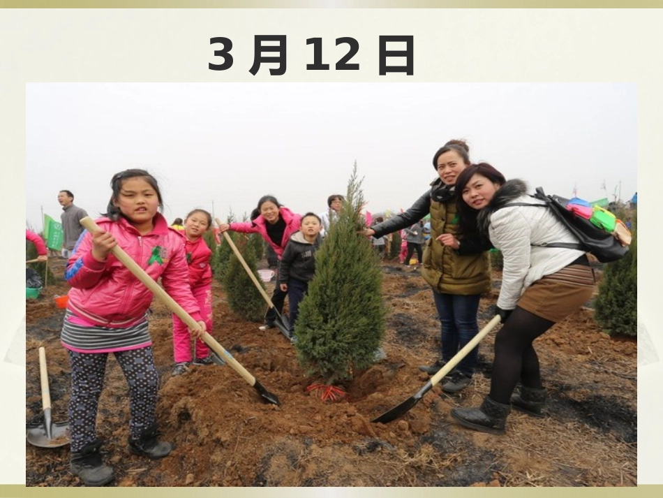 人教2011版小学数学三年级认识年、月、日_第3页