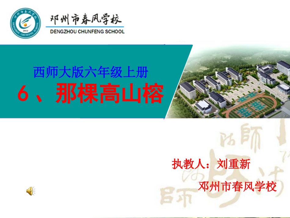 6那棵高山榕_第1页