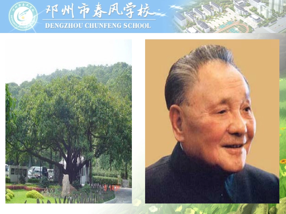 6那棵高山榕_第2页