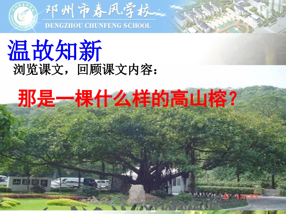 6那棵高山榕_第3页