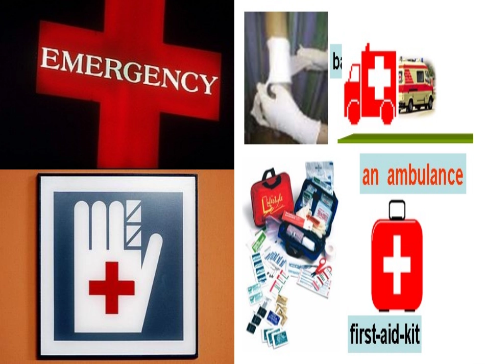 Unit5-Firstaid_第2页