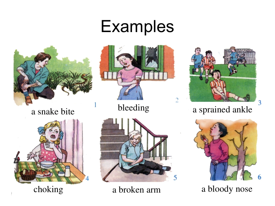 Unit5-Firstaid_第3页