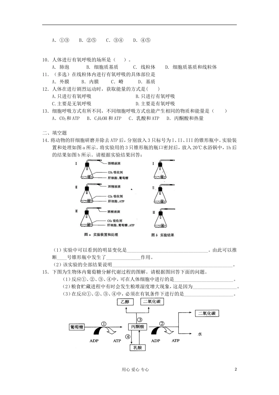 高中生物-4.3细胞呼吸每课一练23-苏教版必修1_第2页