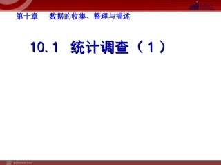统计调查第一课时-(3)