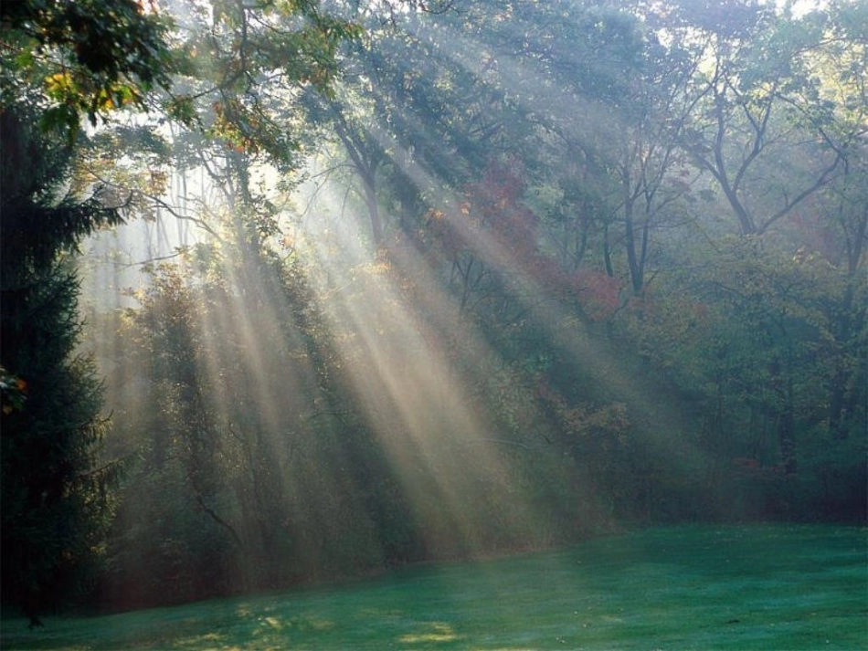 高中化学-第二章-第一节分散系课件-新人教版必修1_第2页