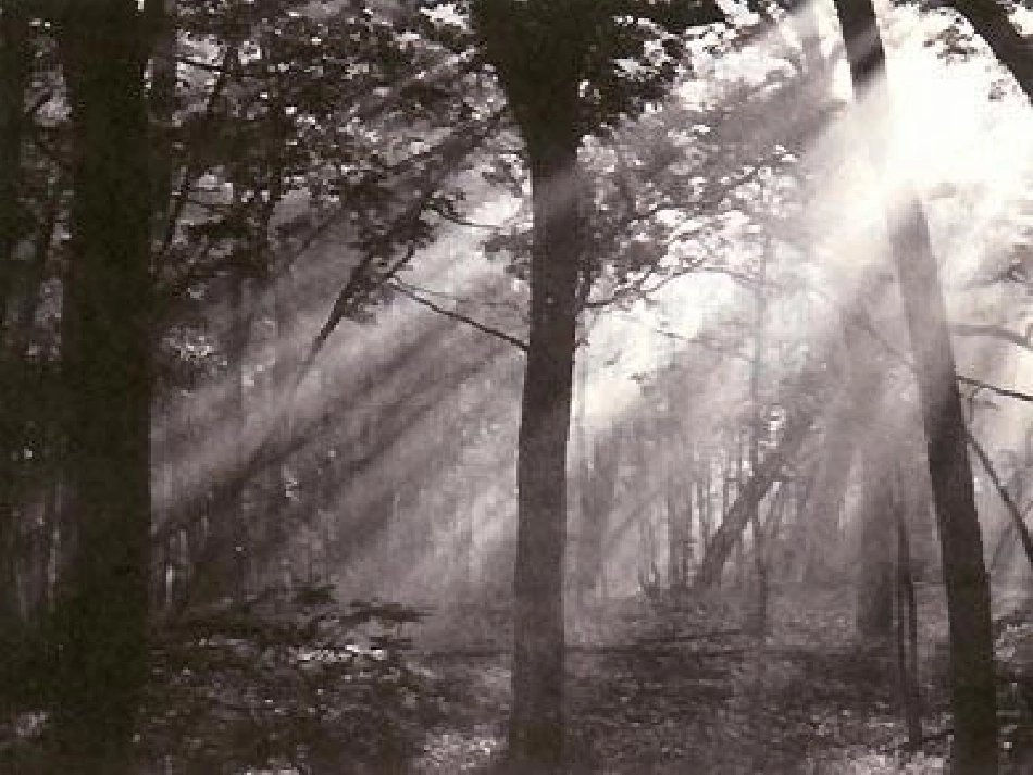 高中化学-第二章-第一节分散系课件-新人教版必修1_第3页