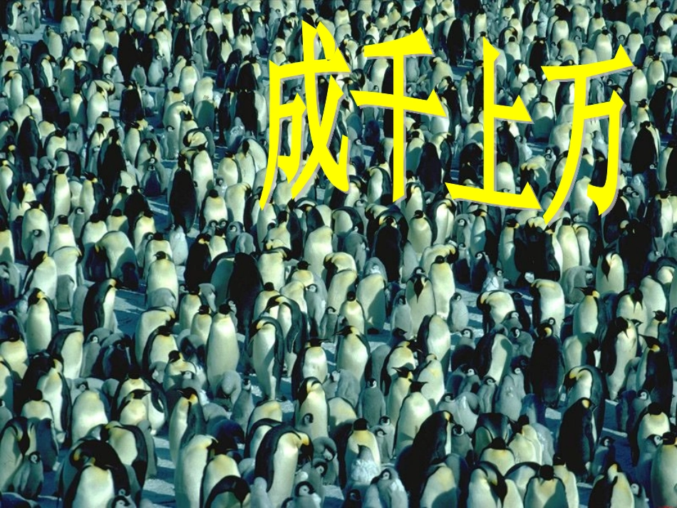 14登上企鹅岛_第2页