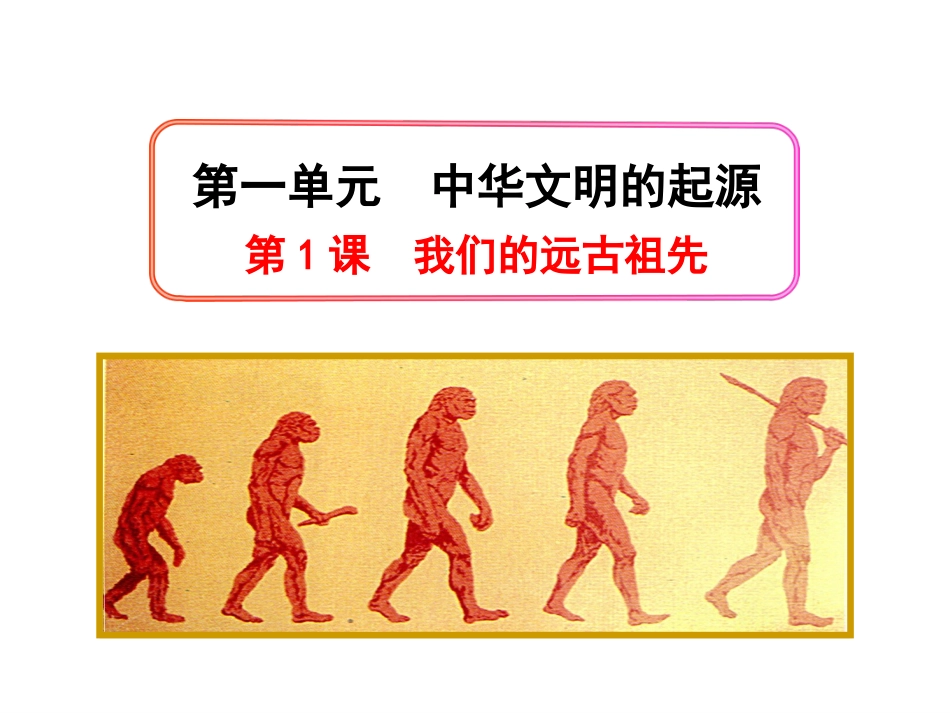 1-我们的远古祖先_第2页
