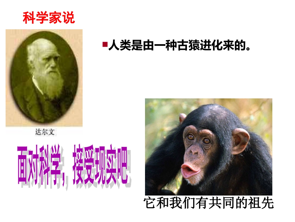 1-我们的远古祖先_第3页