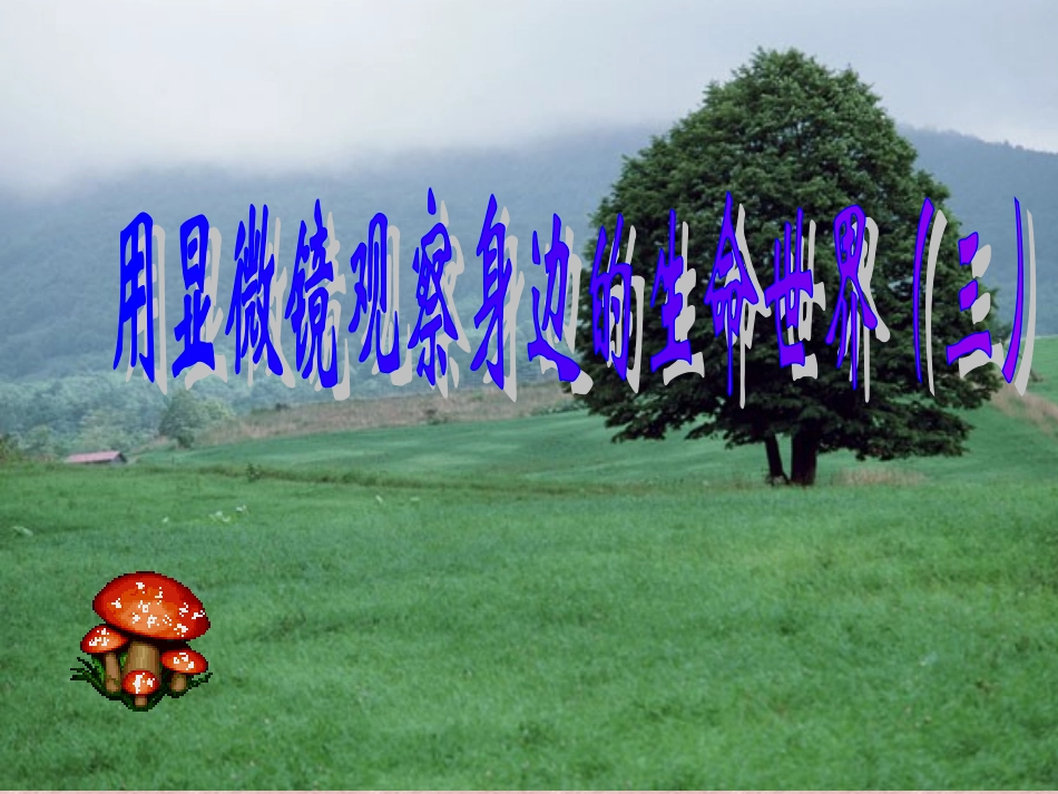 7用显微镜观察身边的生命世界(三)_第2页