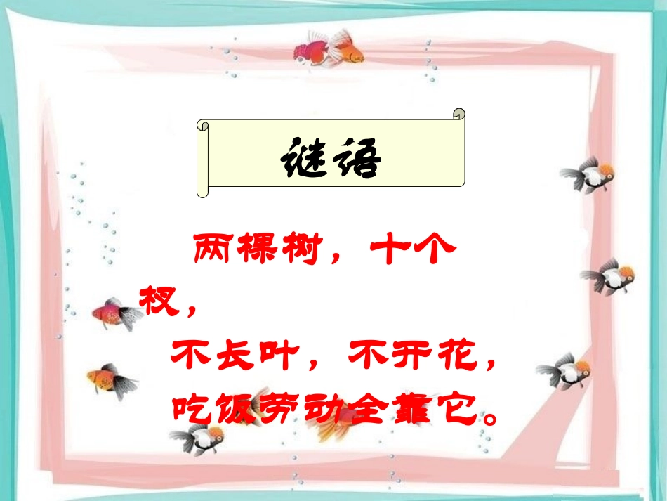 《我有两件宝》课件3_第2页