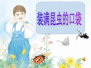 北师大版小学三年级下册语文《装满昆虫的口袋》课件PPT(1)