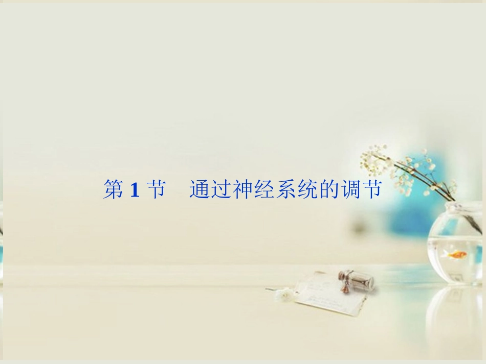 【优化方案】2014届高考生物一轮复习-第二章-第1节-通过神经系统的调节课件-新人教版必修3_第2页