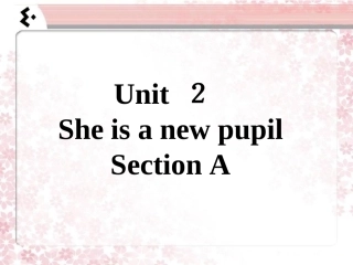 Unit-2-She-is-a-new-pupil-Section-A-课件-2