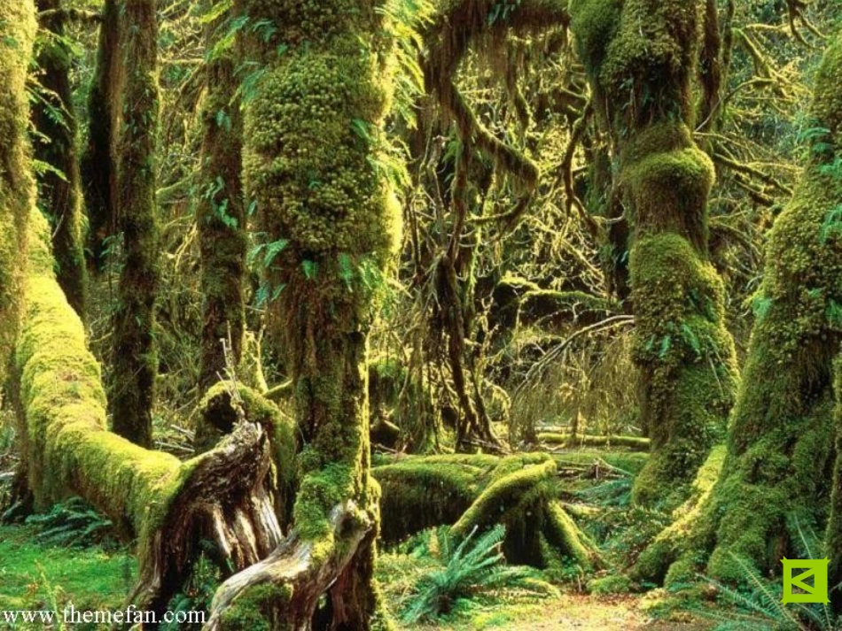 生态系统的结._第3页