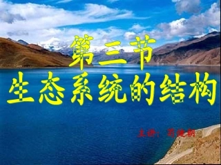 生态系统的结.
