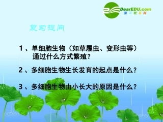 高一生物：5.1《细胞增殖》课件02(苏教版必修1)