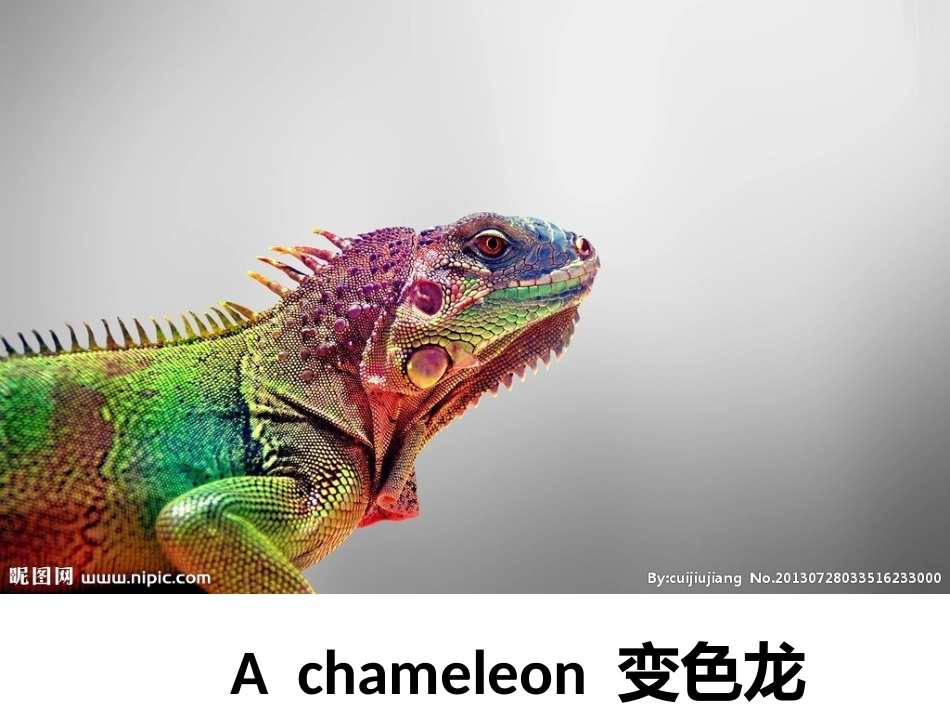 Reading(1)：Appreciatingliterature_第2页