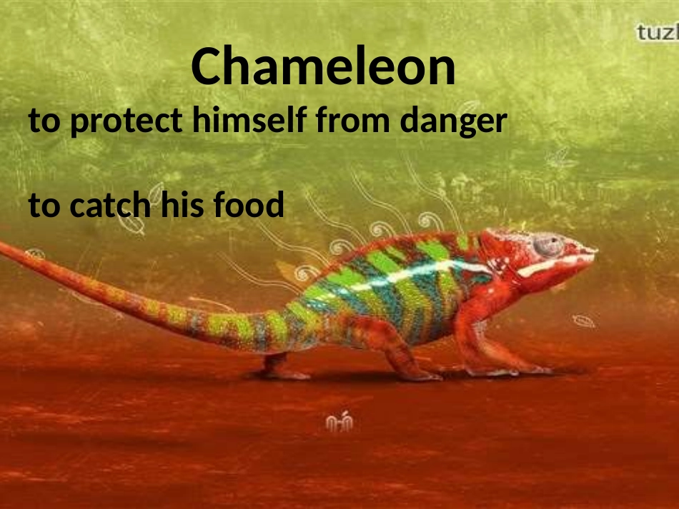 Reading(1)：Appreciatingliterature_第3页