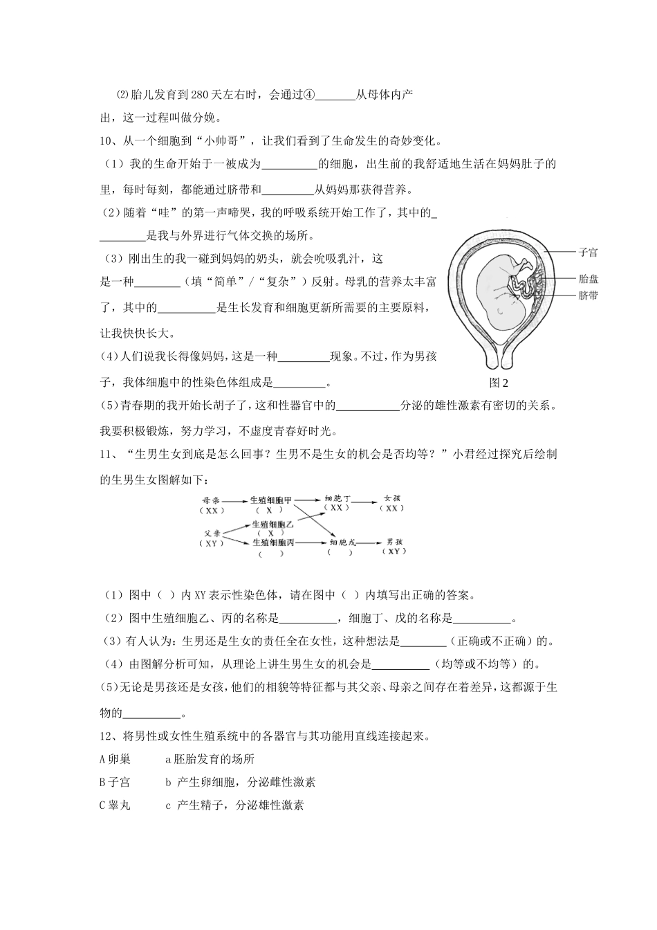 《第1节-人的生殖》同步练习1_第2页