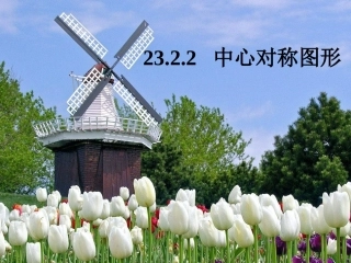 23.2.2《中心对称图形》