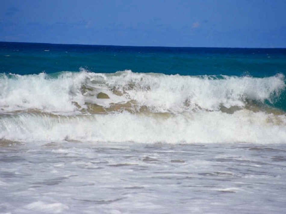 19.海洋是未来的粮仓_第2页