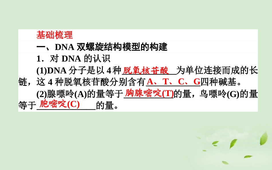 《师说》2013高考生物一轮复习-3.2-DNA分子的结构-DNA的复制-基因是有遗传效应的DNA片断课件-新人教版必修2_第3页