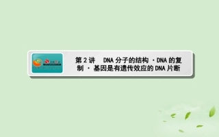《师说》2013高考生物一轮复习-3.2-DNA分子的结构-DNA的复制-基因是有遗传效应的DNA片断课件-新人教版必修2