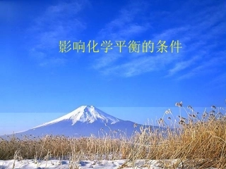 高二化学条件对平衡影响