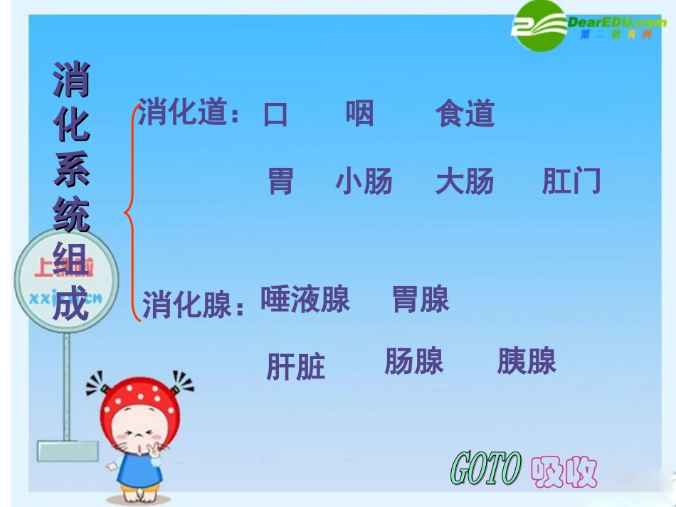 七年级生物下册：第四单元第二章第二节消化和吸收5课件-人教版_第2页